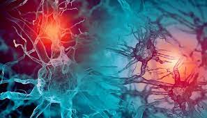 Función del sistema sensorial