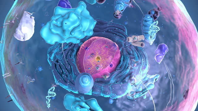 Estructuras celulares especializadas