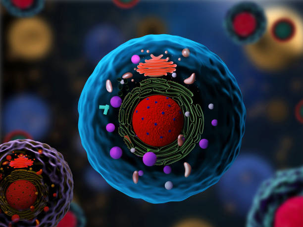 Compartimentos celulares