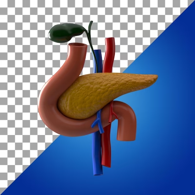 El páncreas no es simétrico