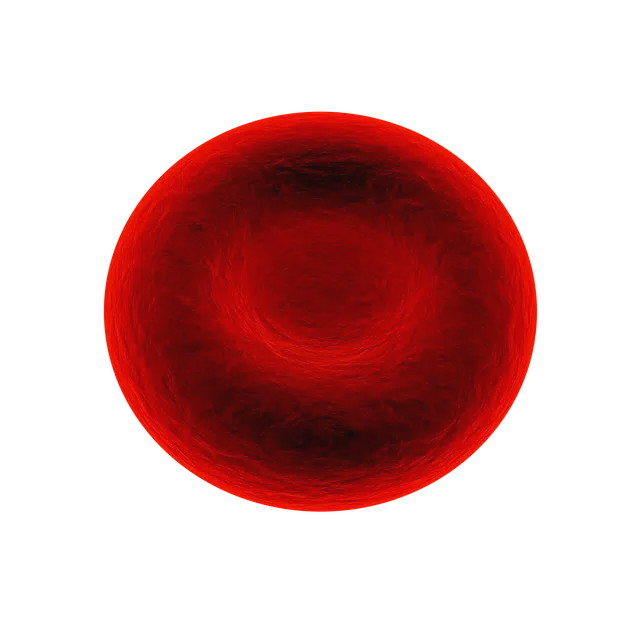 ¿Cuanta hemoglobina hay en los eritrocitos?