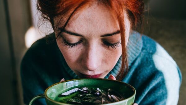 ¿Qué son las plantas medicinales?