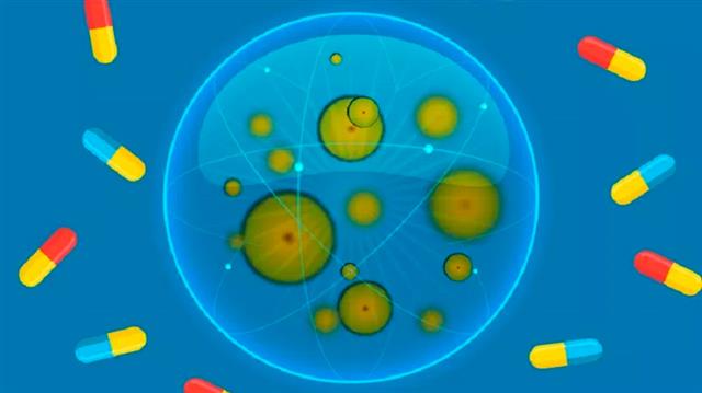 Tipos de resistencia bacteriana
