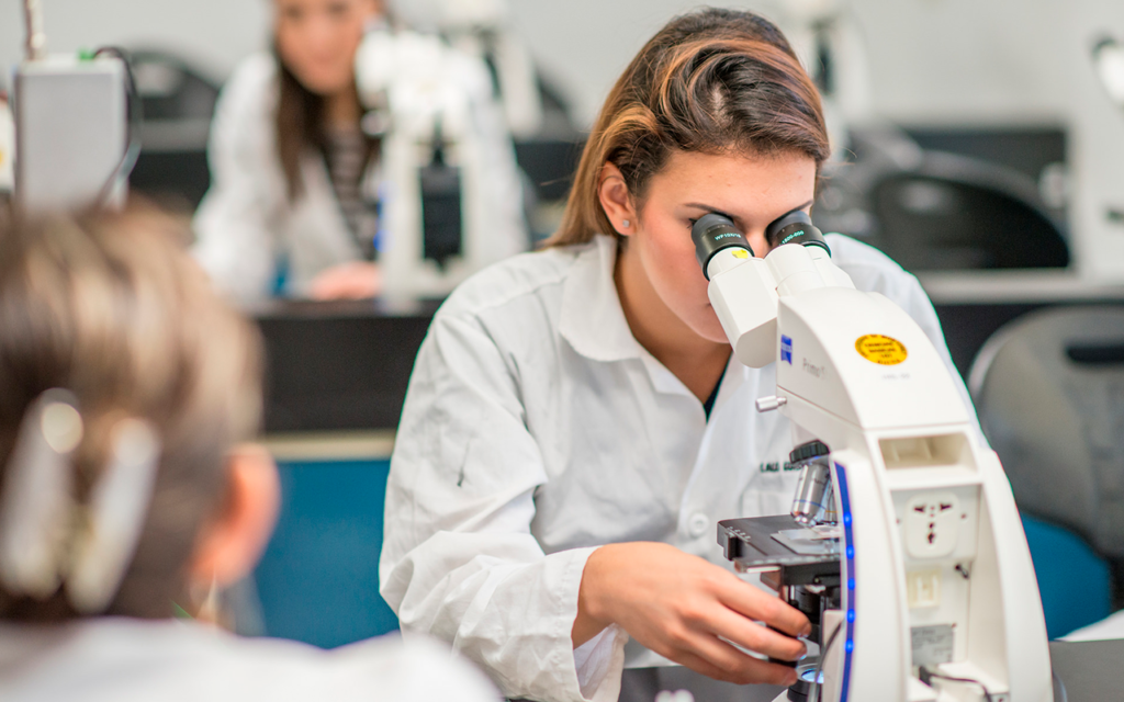 Relación de la histología con la biología celular y molecular