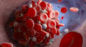 Eventos fisiológicos de la hemostasia