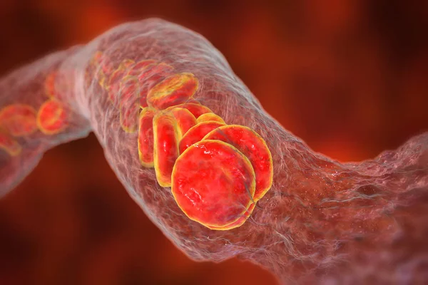 Participación de sustancias vasoconstrictores en la hemostasia