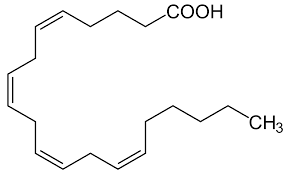 Papel del ácido araquidónico en la hemostasia