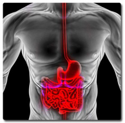 Causas raras de hemorragia del tubo digestivo