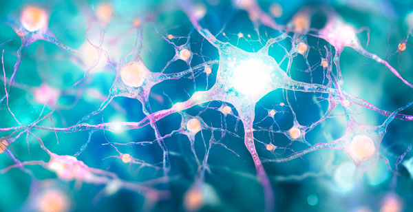 Sensibilización de los nociceptores