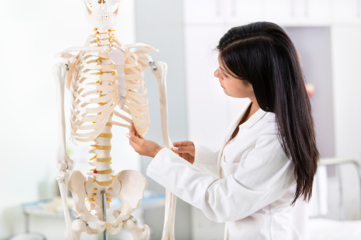 5 consejos para aprender anatomía