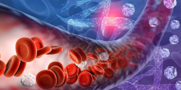 Funciones de la sangre