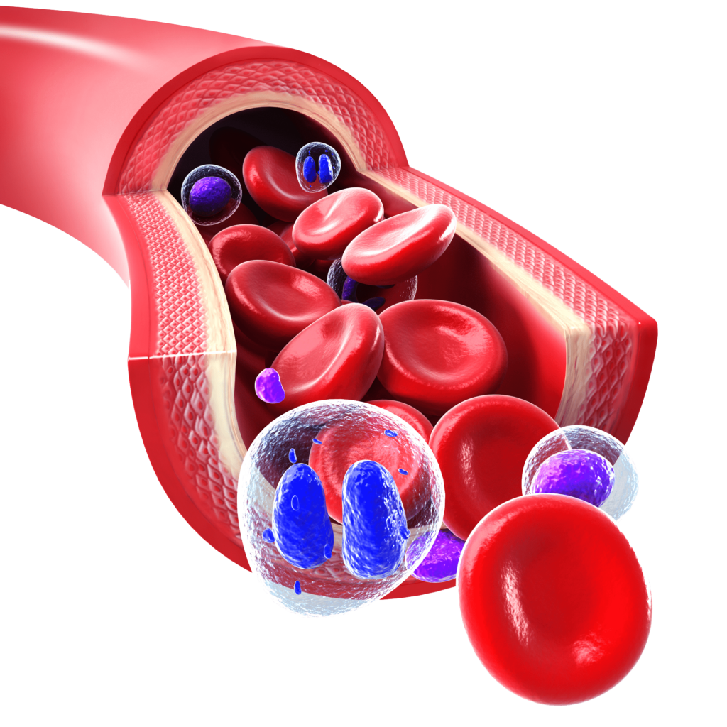 Constitución de la sangre