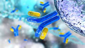 ¿Qué son las inmunoglobulinas?