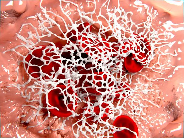 ¿Dónde se produce el fibrinógeno?