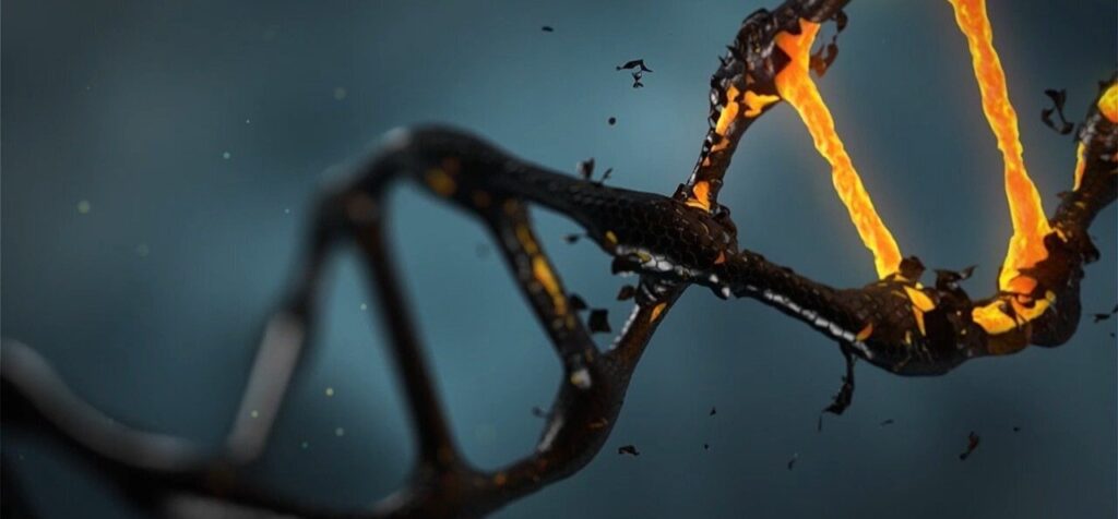 Enfermedades causadas por priones