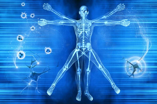 ¿Qué es la fisiología?