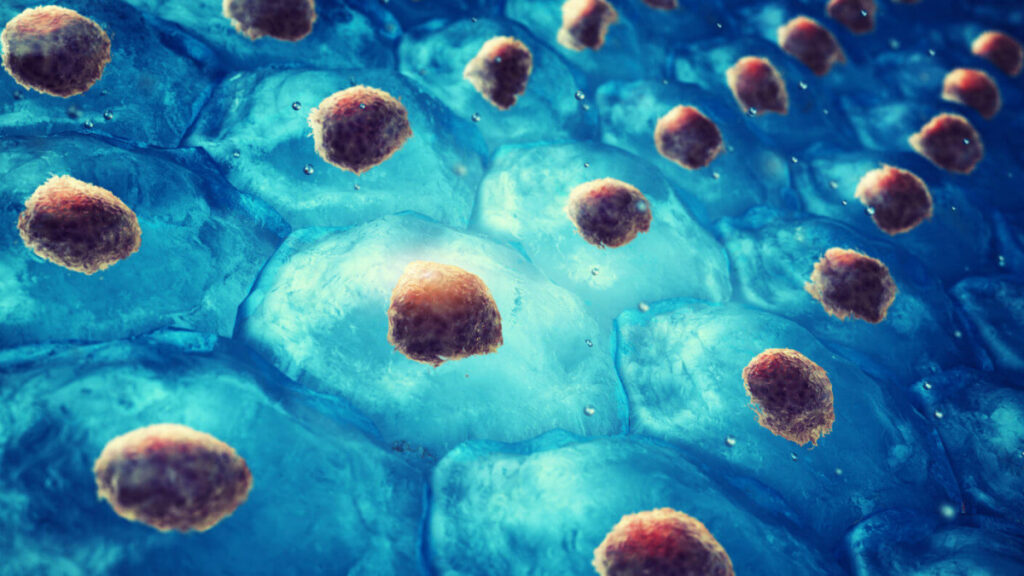 ¿Cuántas células hay en el organismo humano?