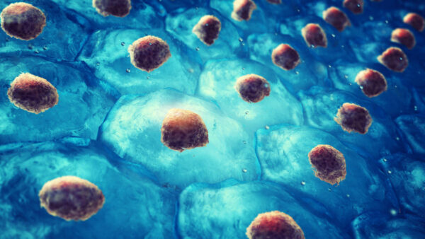 Estudio del organismo a nivel molecular