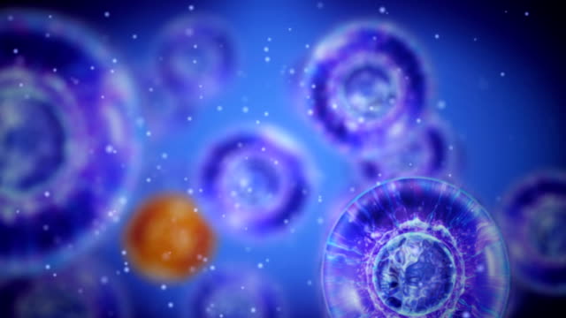 Contenido del líquido extracelular