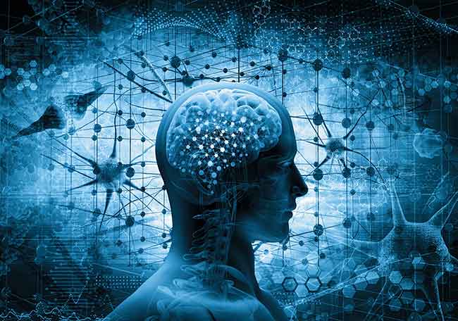 ¿Que es la fisiopatología?