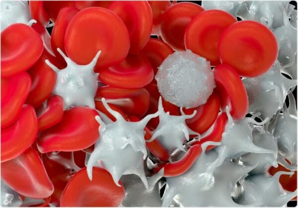 Mecanismos antitrombóticos fisiológicos