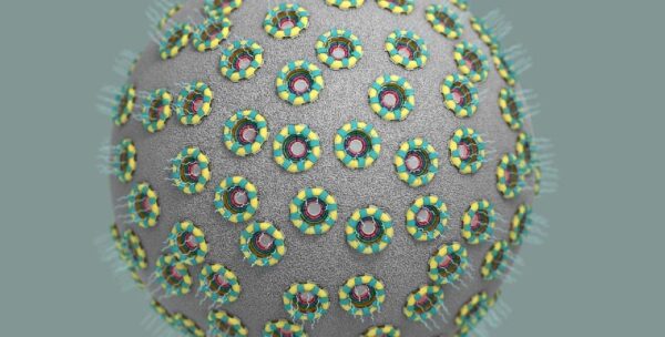 ¿Qué son los poros nucleares?