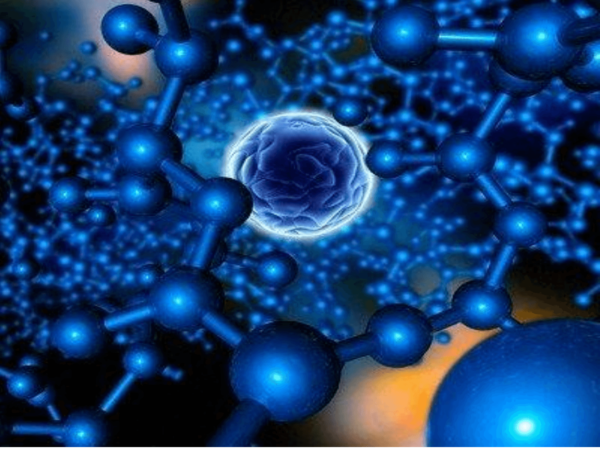 Estudio de los cambios morfológicos en las enfermedades