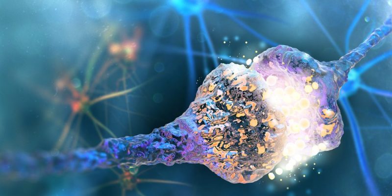 ¿Qué significa sinapsis?