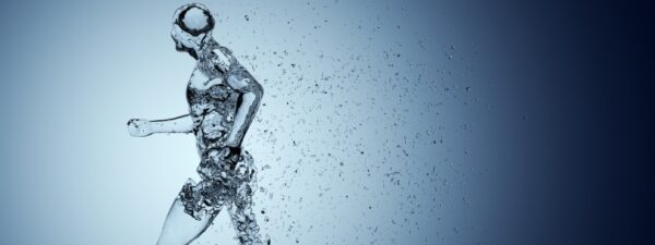 ¿Cuál es el componente más abundante del cuerpo humano?