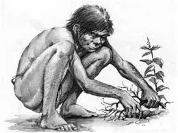 Uso de medicamentos en la antigüedad