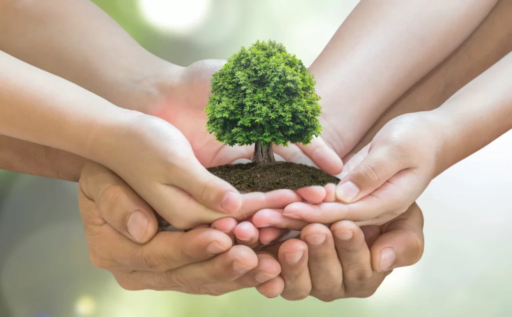 Factores medioambientales que impactan en la salud