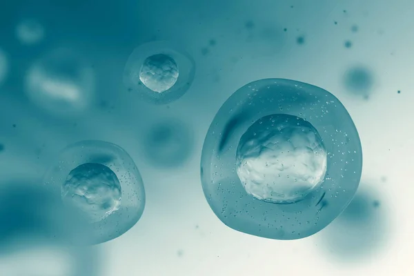 ¿Cómo se distribuye el líquido extracelular?