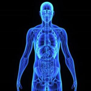 ¿Cuál es la osmolalidad del organismo humano?