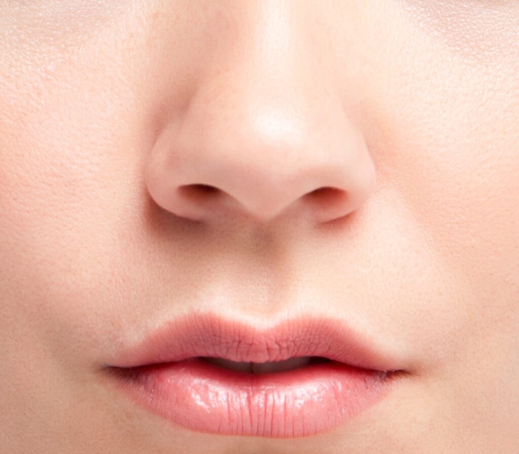 Anatomía externa de la nariz