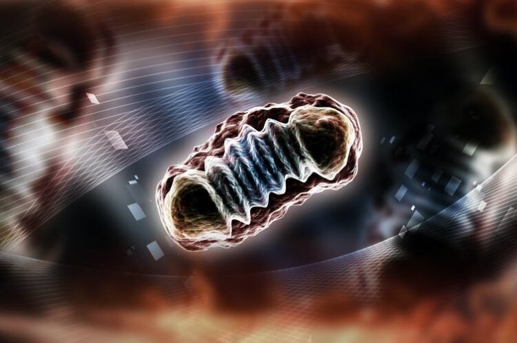 ¿Qué es la bioenergética?