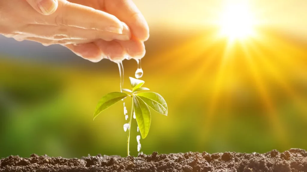 Primera ley de la termodinámica