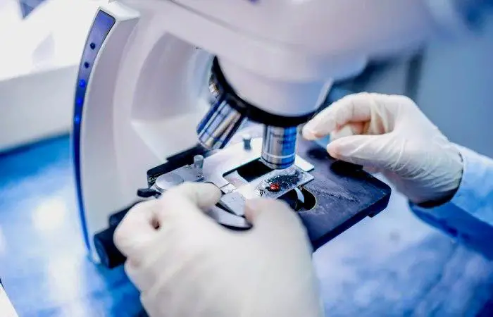 La patología como ciencia médica