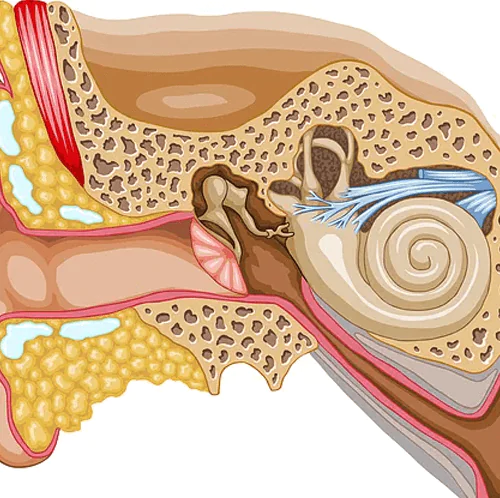 ¿Que es la trompa de Eustaquio permeable?