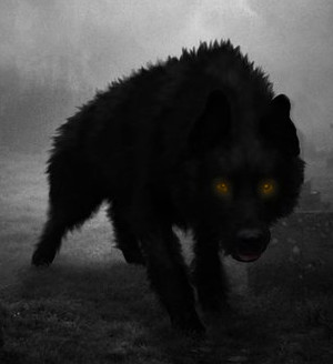 El paciente de la cama 530