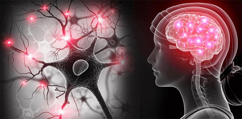 Fisiopatología de la enfermedad de Parkinson