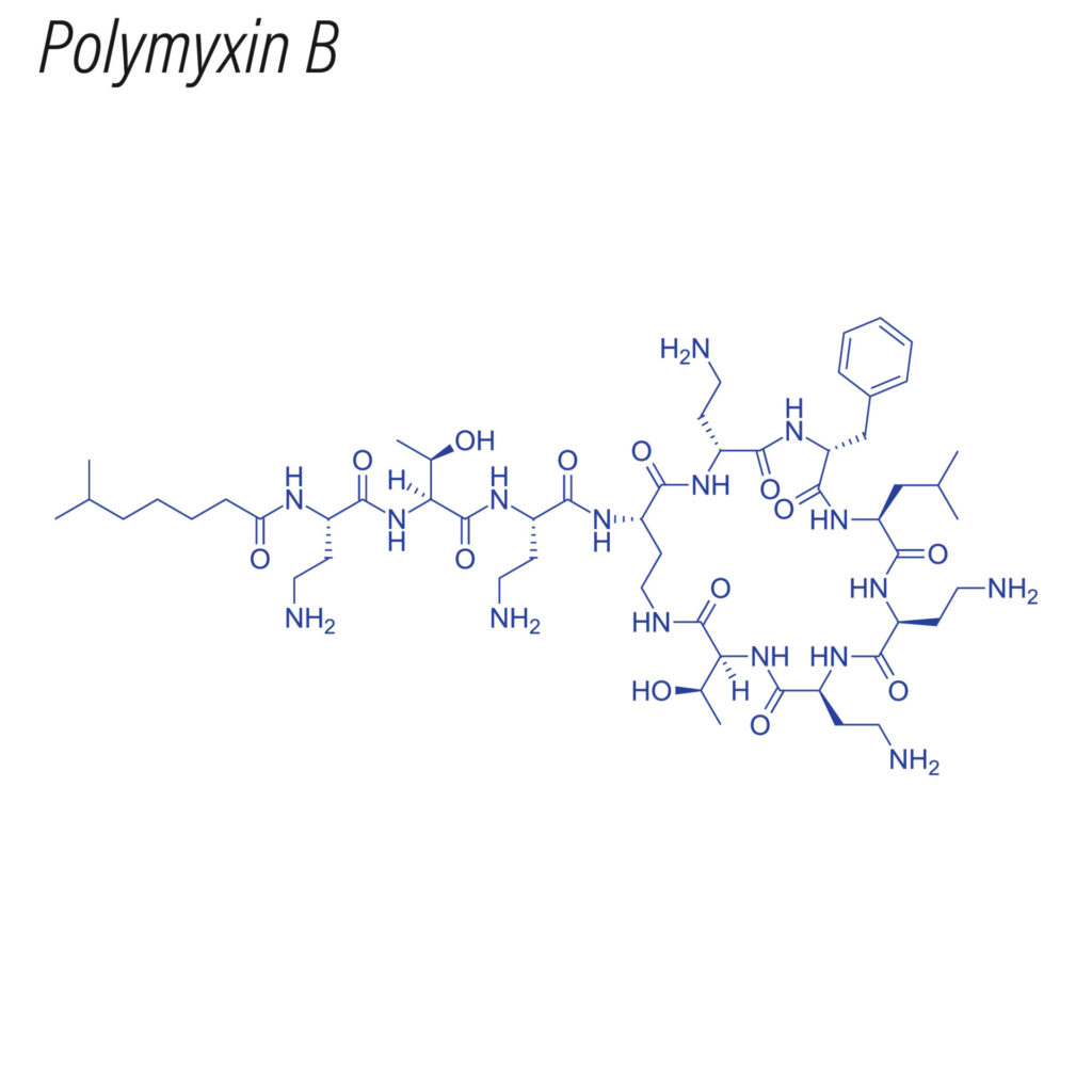 ¿Qué son las polimixinas?