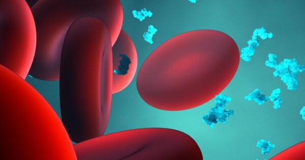 ¿Qué proteínas plasmáticas sintetiza el hígado?