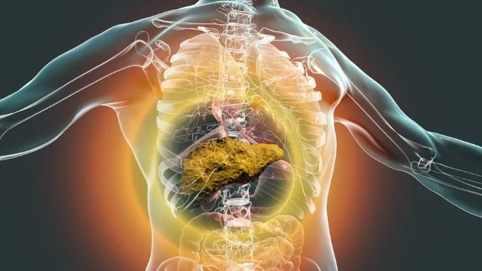 Neoplasias malignas relacionadas con el consumo de alcohol