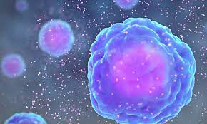 ¿Qué son los Inhibidores de la señalización?