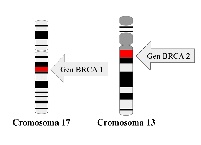 Predisposición hereditaria al cáncer