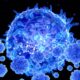 Linfocitos T, son el objetivo de algunos tratamientos