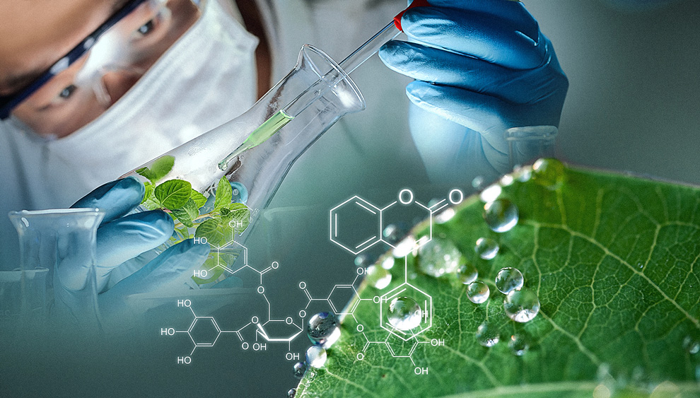 Productos naturales: ¿medicamentos o suplementos dietéticos?