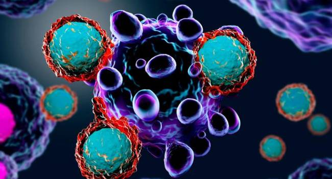 Reguladores negativos de la activación de células T