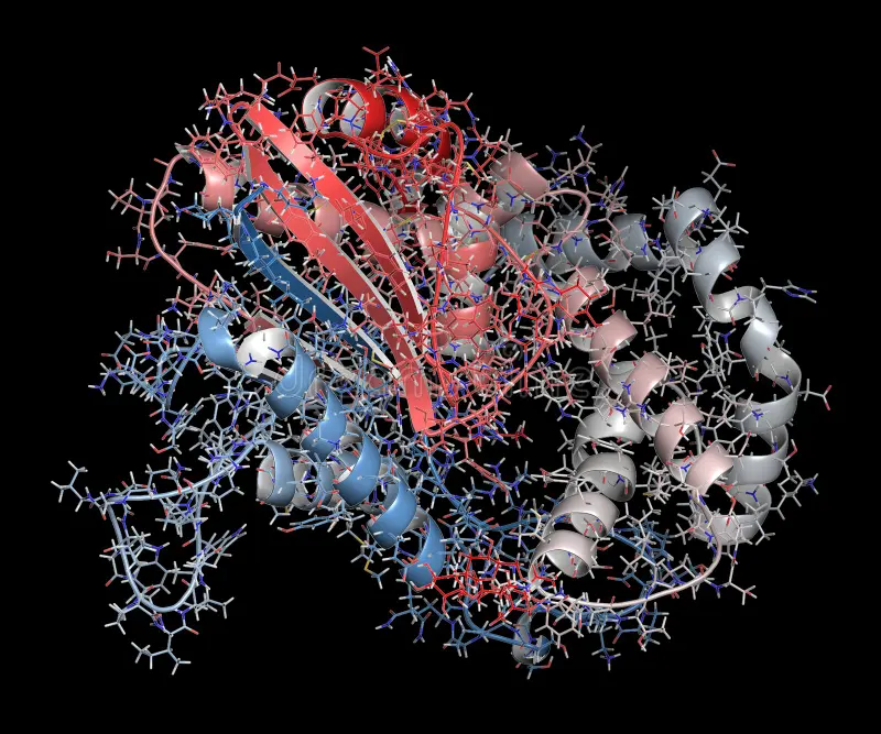 ¿Qué enzimas secreta la próstata?