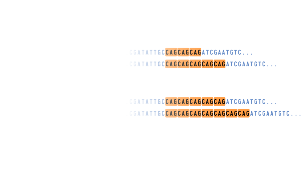 ¿Qué son las Repeticiones en tándem?